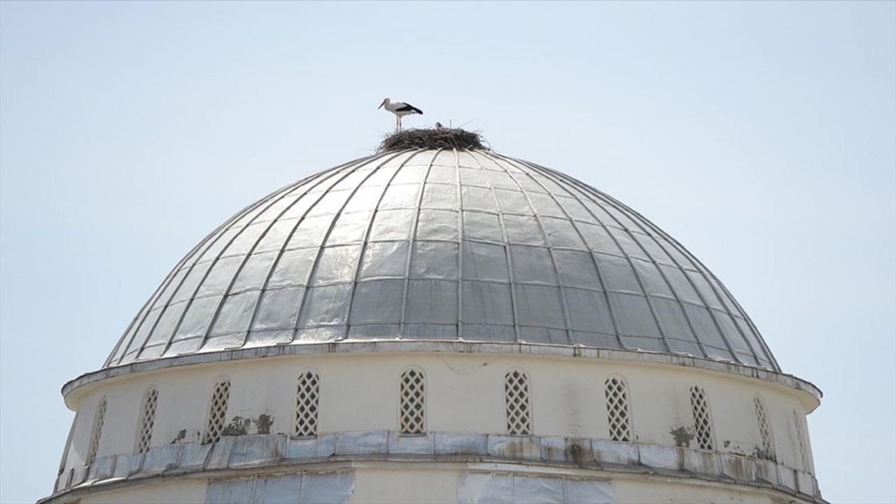Bingöl'de 4 caminin kubbesi leyleklerin yuvası oldu