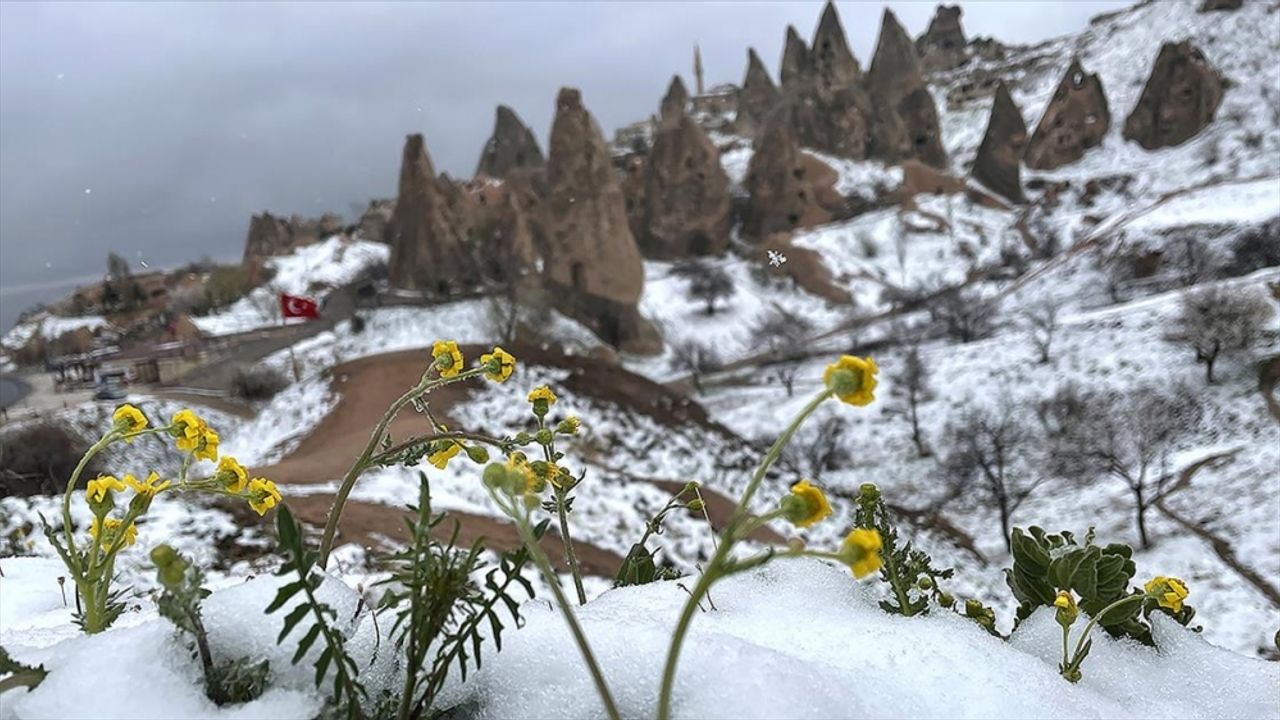 Kapadokya'da çiçekler kar altında kaldı