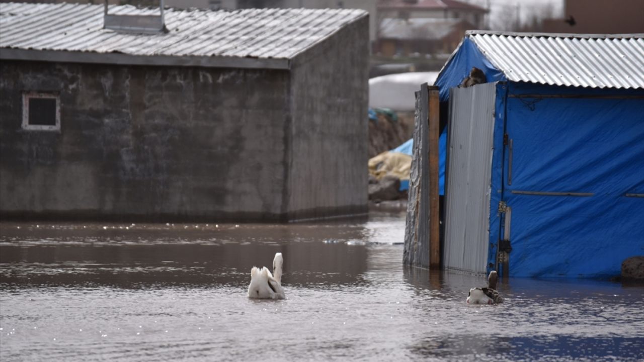 Kars'ta karların erimesi nedeniyle 10 ev ve bazı ahırları su bastı