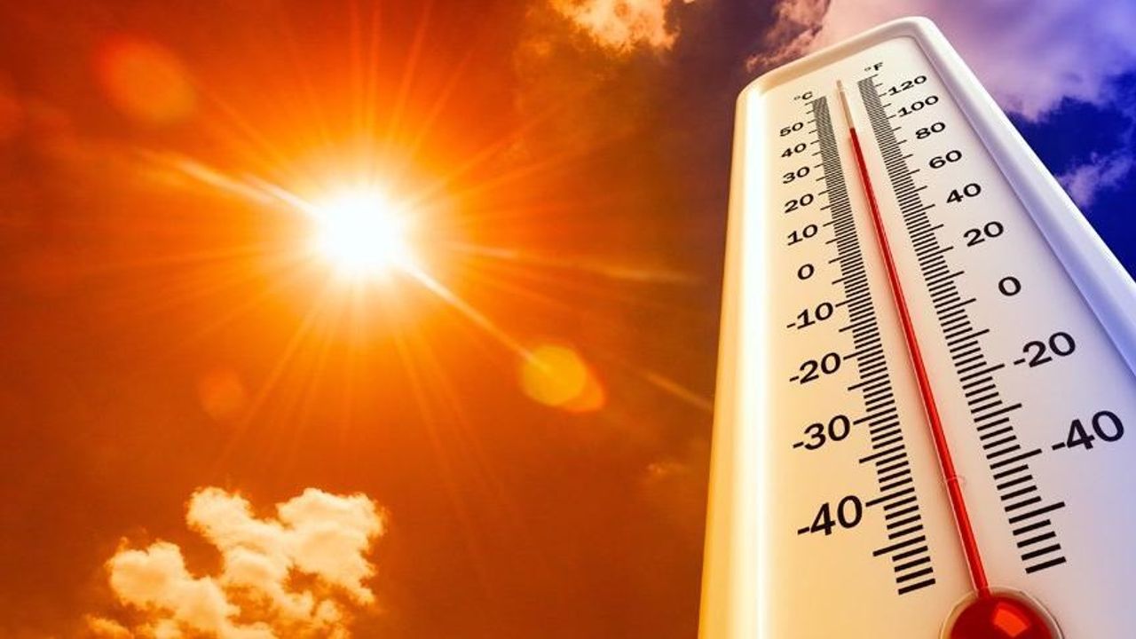Dünyada 2022 en sıcak 5. yıl oldu