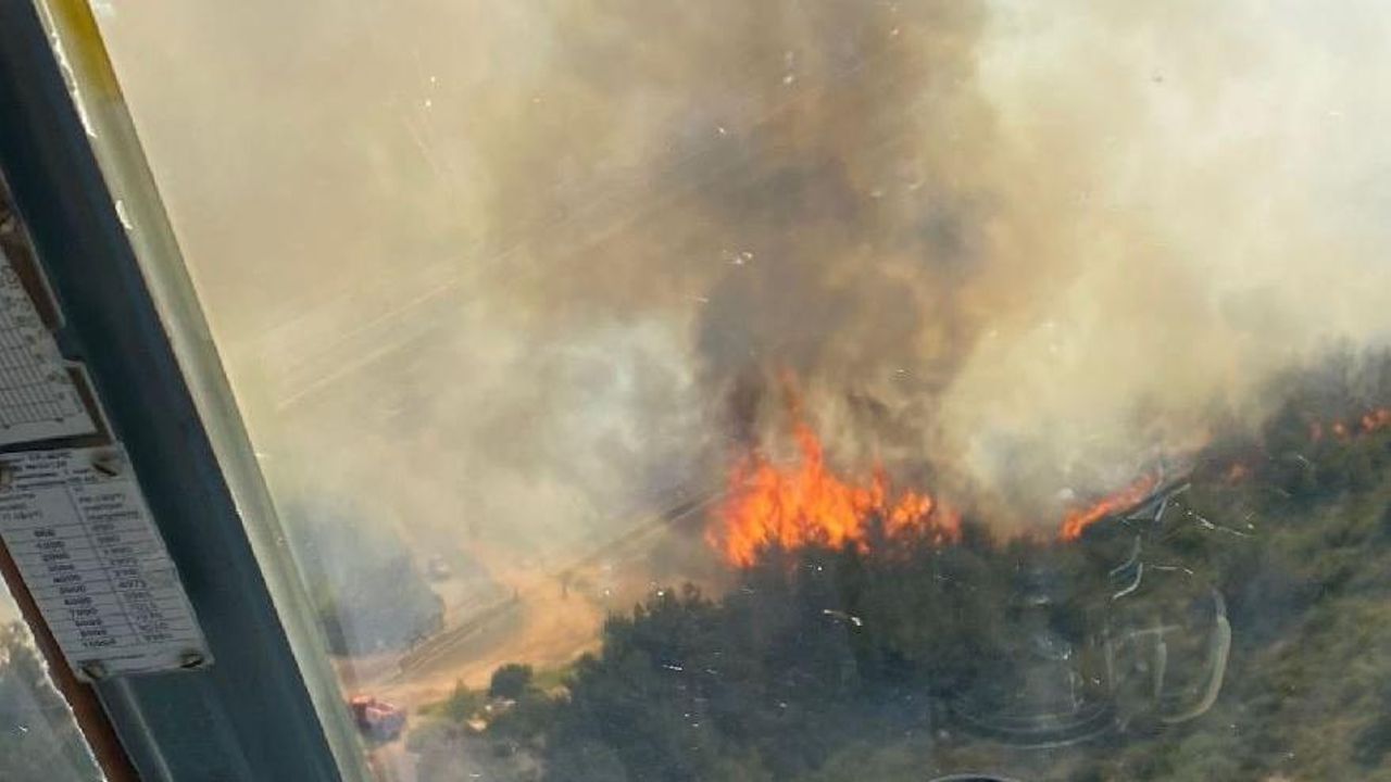İzmir'de korkutan orman yangını kontrol altına alındı