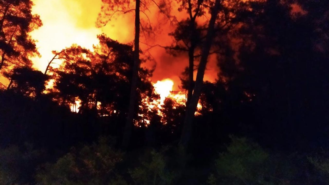 Alanya'da orman yangını