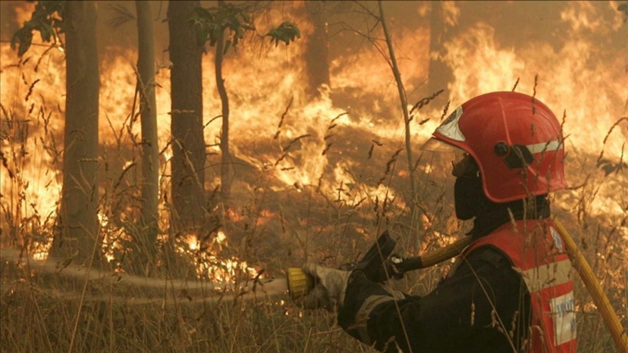 Avrupa ve ABD'de aşırı sıcaklar orman yangınlarına neden oluyor