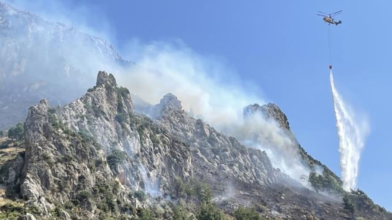 İzmir, Mersin ve Hatay’da orman yangını