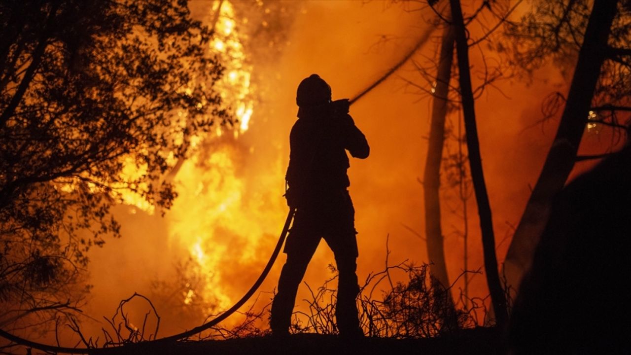 Çin'in sıcakların yol açtığı orman yangınlarıyla mücadele ediyor