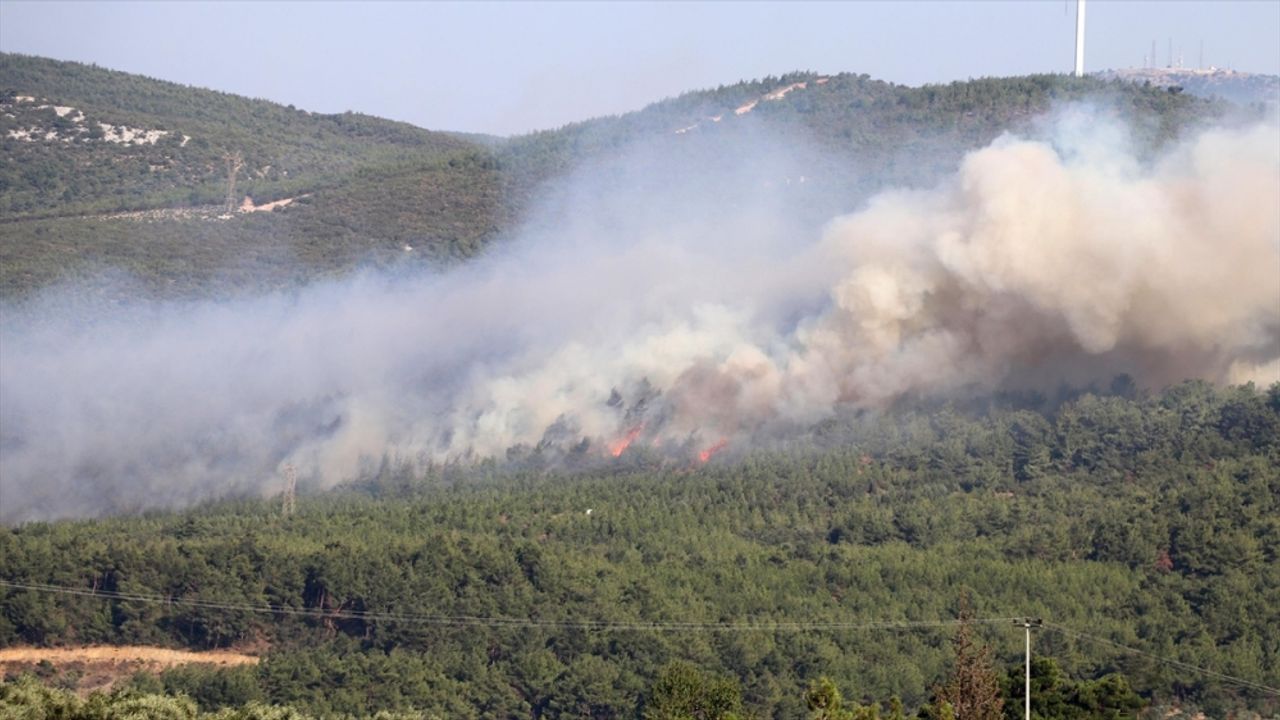 Manisa Soma'daki orman yangını kontrol altına alındı