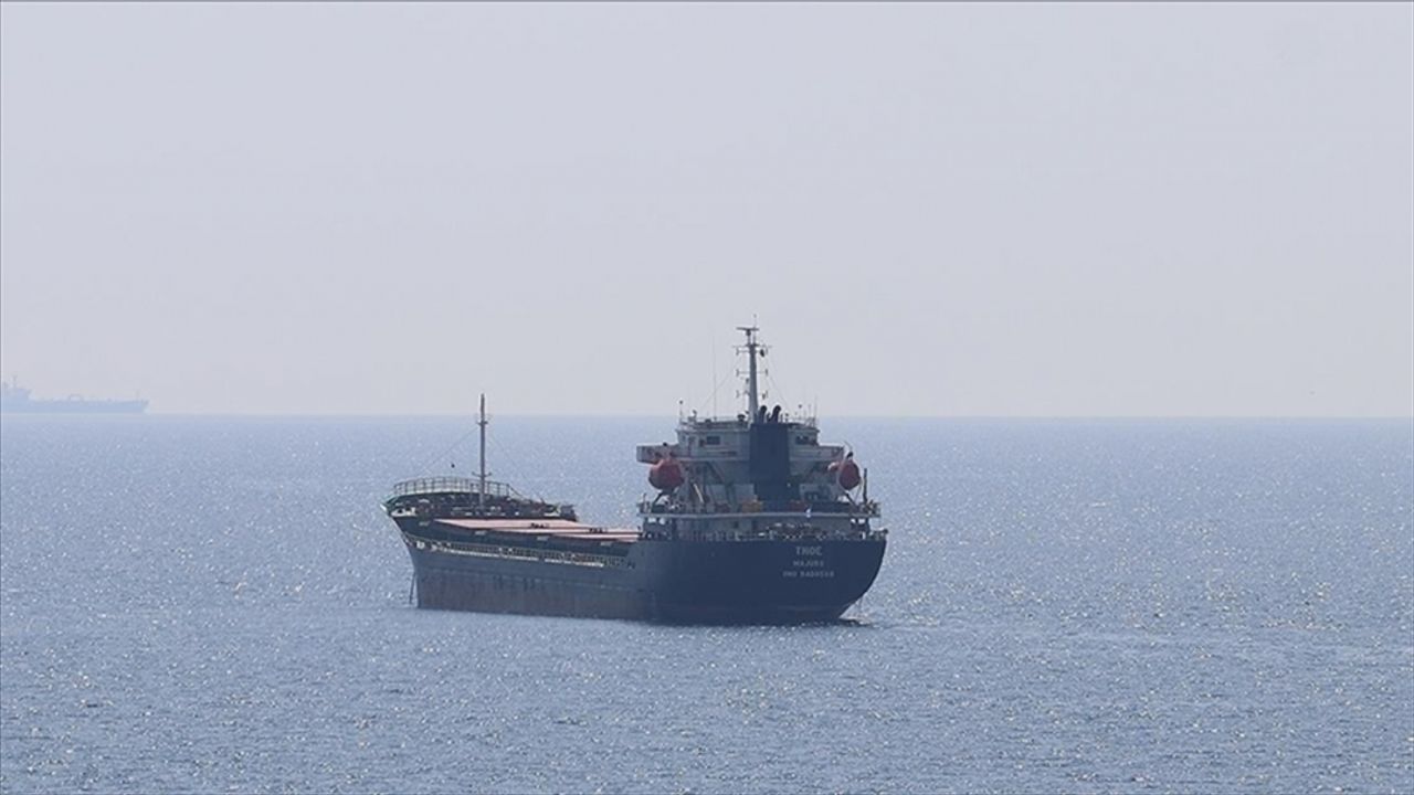 Tahıl yüklü 12 gemi daha Ukrayna'dan hareket etti