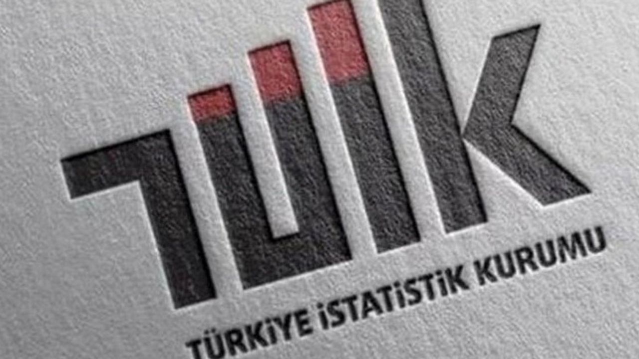 TÜİK: "Türkiye ekonomisi 2022'de %5,6 büyüdü."