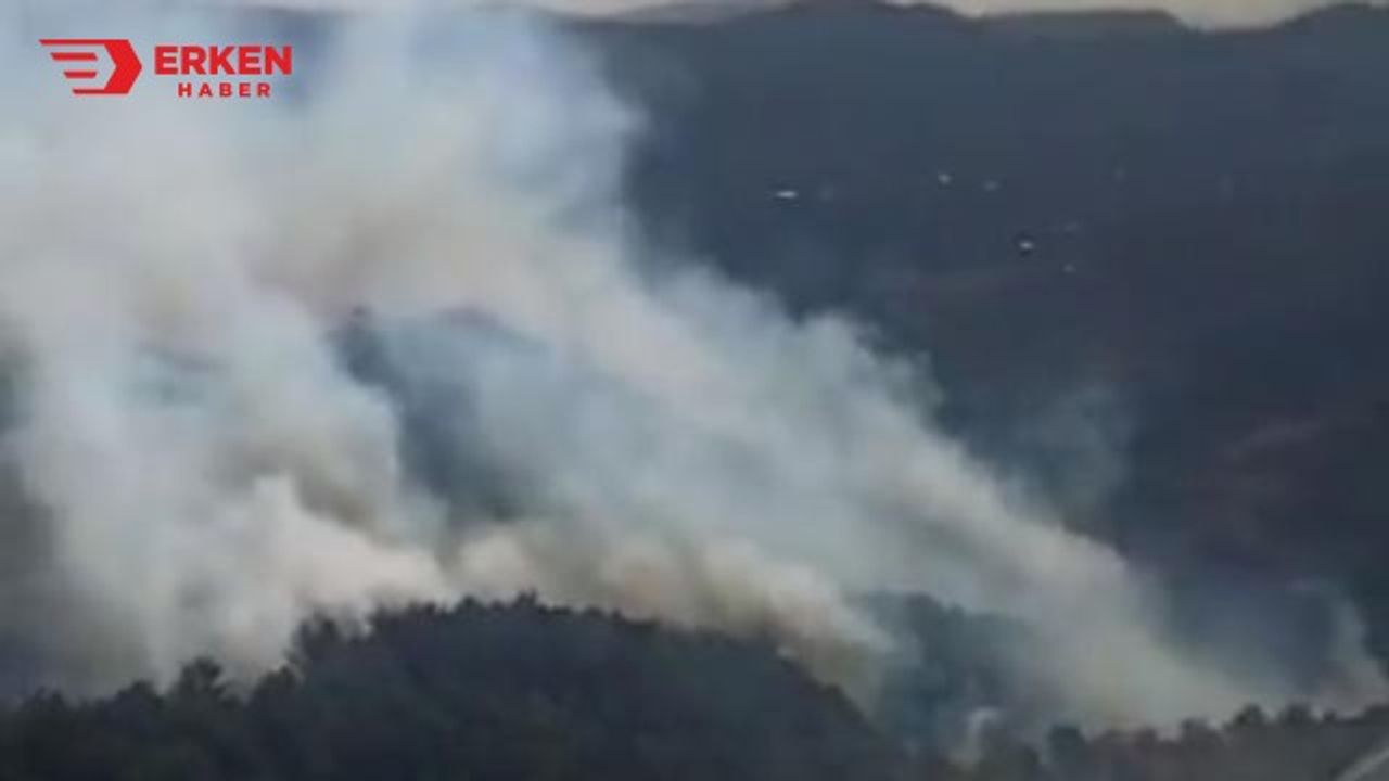 Bergama'da orman yangını çıktı