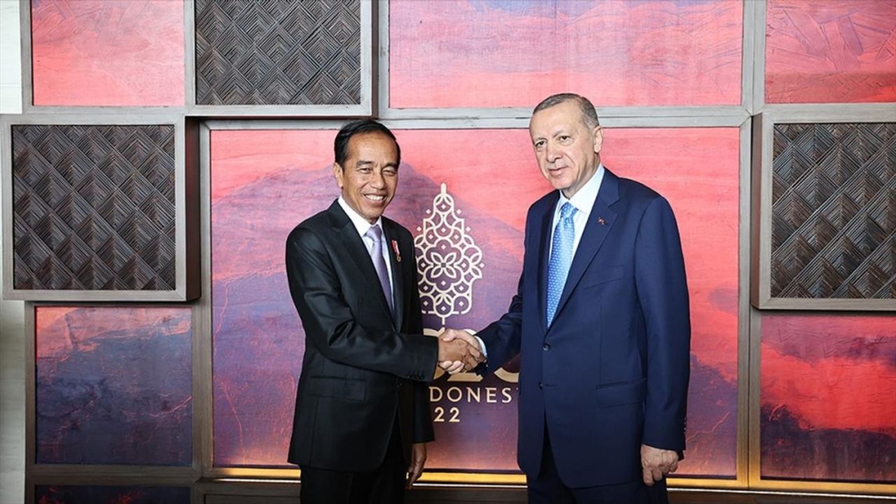 Cumhurbaşkanı Erdoğan Devlet Başkanı Widodo ile bir araya geldi