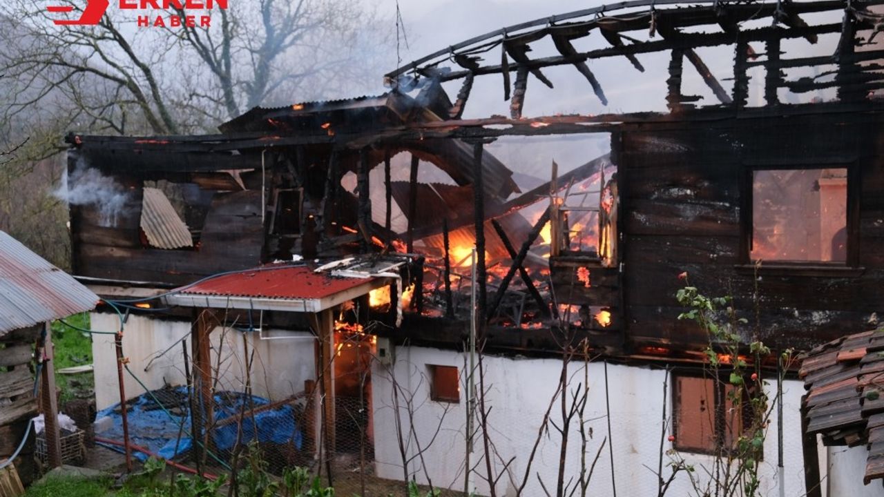 Kastamonu'da 2 ev yandı