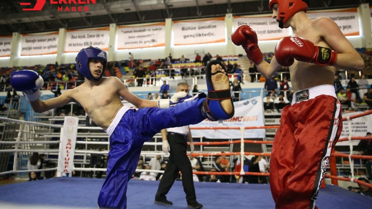 Kick Boks Turnuvası, Şanlıurfa'da sürüyor