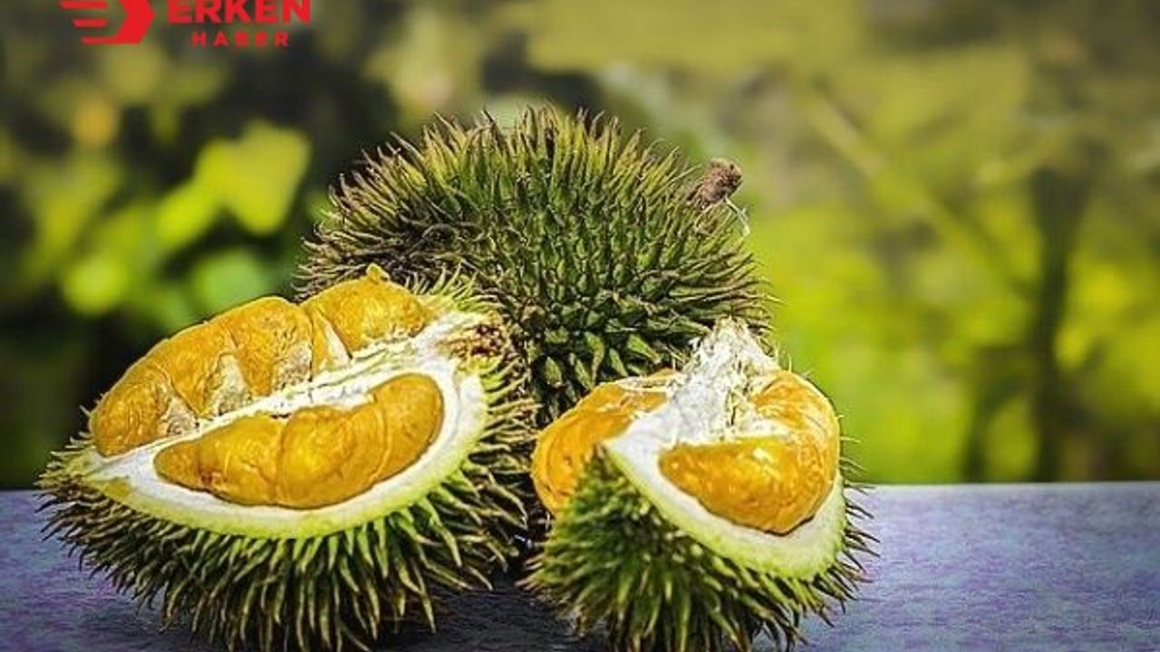 "Durian" meyvesi uçak indirtti