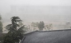 Ankara’da fırtına ve sağanak nedeniyle ağaçlar devrildi