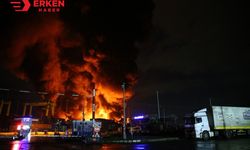 İskenderun Limanı'nda konteyner yangını