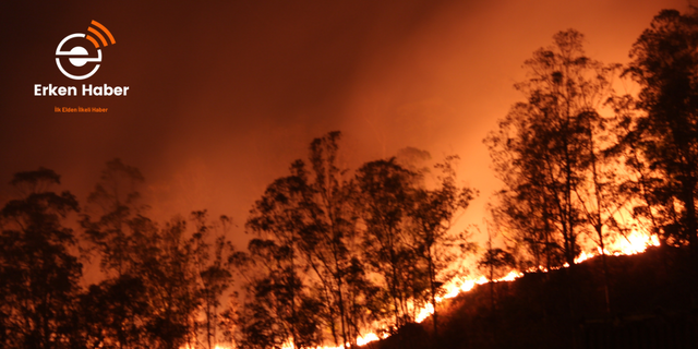 Belarus: Orman yangınlarında Türkiye’ye yardım edeceğiz