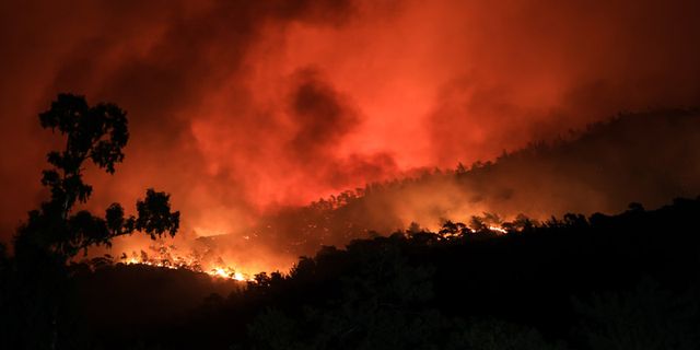 Marmaris'teki orman yangını kontrol altına alındı