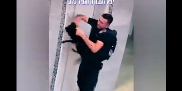 Asansörde asılı kalan köpek son anda kurtarıldı