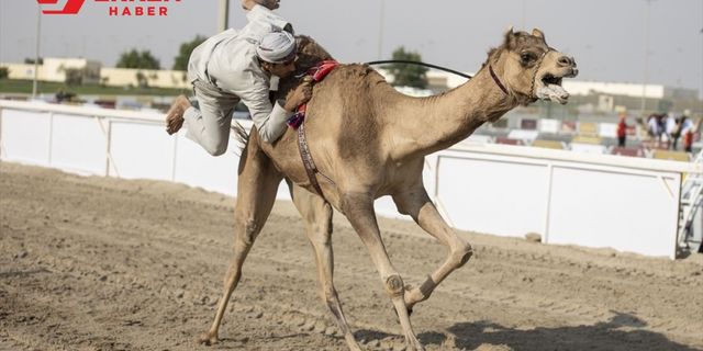 Katar'da "develer üzerinde hentbol" maçı oynandı