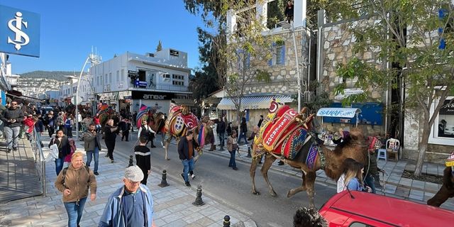 Bodrum'da deve geçidi