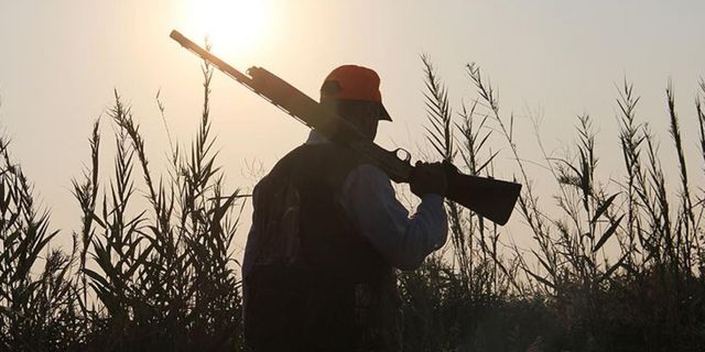 Avlanması yasak olan karacayı vuran avcıya ceza