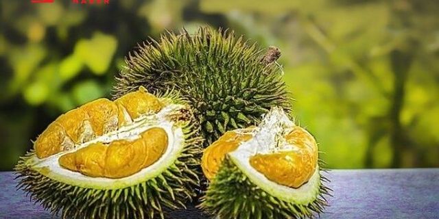 "Durian" meyvesi uçak indirtti