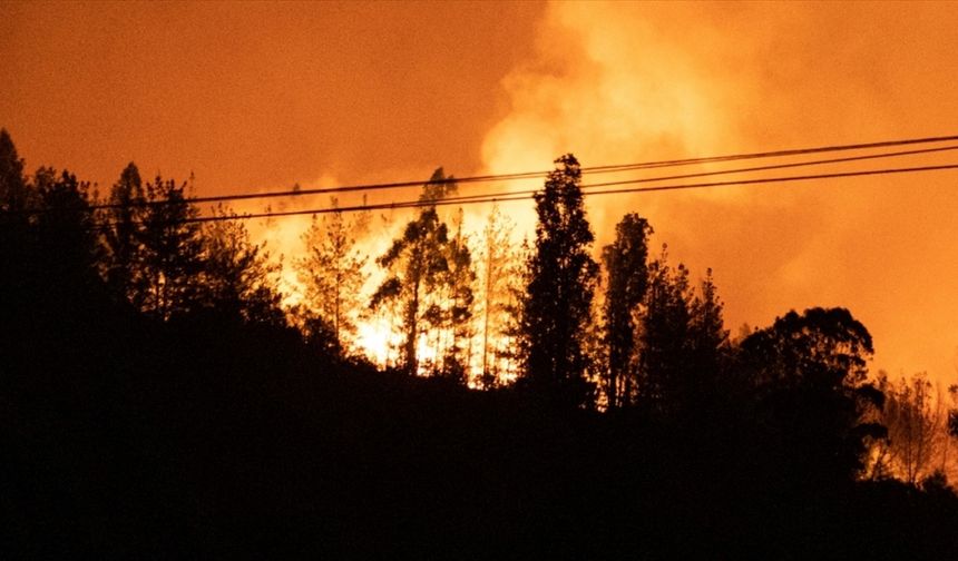 İngiltere'de geçen yıldan 500 fazla orman yangını çıktı