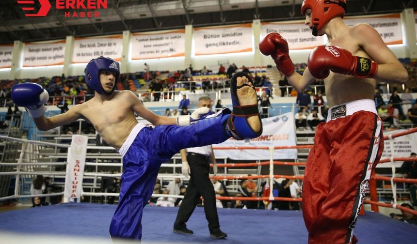 Kick Boks Turnuvası, Şanlıurfa'da sürüyor