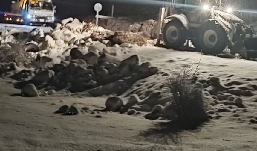 Mersin'de kar nedeniyle araçlar mahsur kaldı