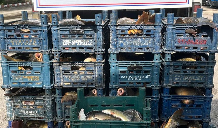 Elazığ'da kaçak avlanan 1.4 ton balık ele geçirildi